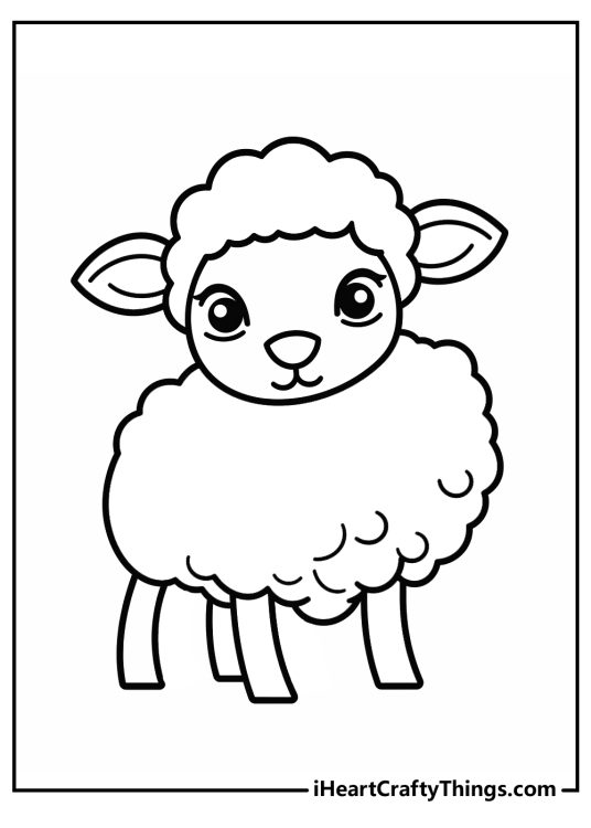 Free printable picture for children presenting cute realistic sheep with curly wool