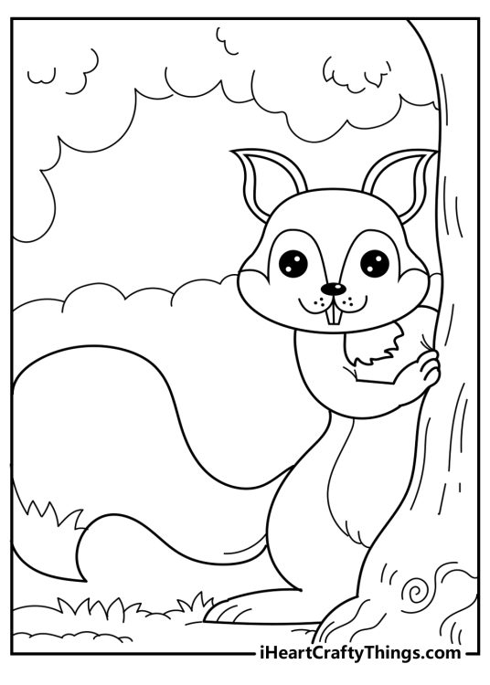 15 Squirrels Coloring Pages (100% Free Printables)