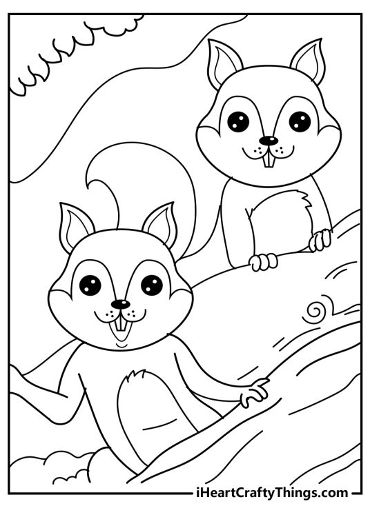 Detailed coloring image for kids featuring two curiuos cartoony squirells on a tree branch
