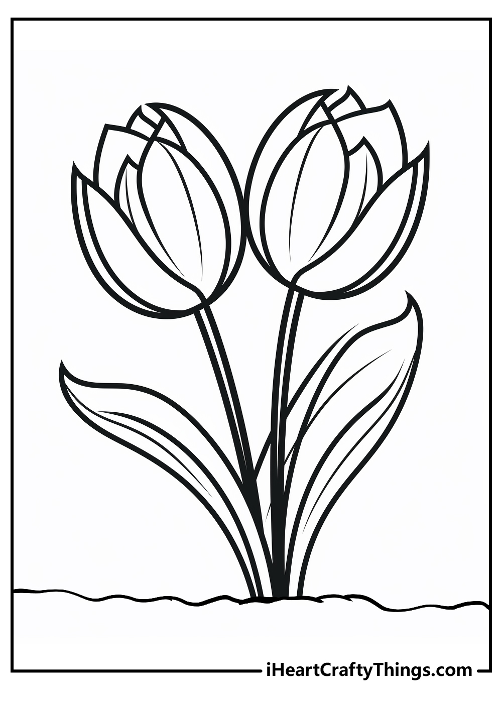 tulip coloring pages