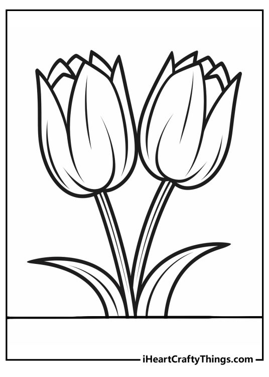 Tulip-themed coloring sheet presenting a pair of beautiful realistic tulips with leaves