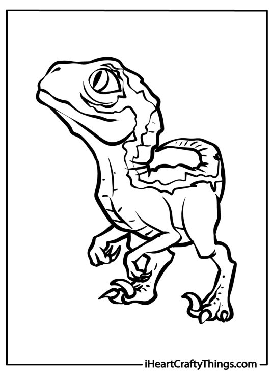 Coloring picture for children featuring baby velociraptor standing on its hind legs