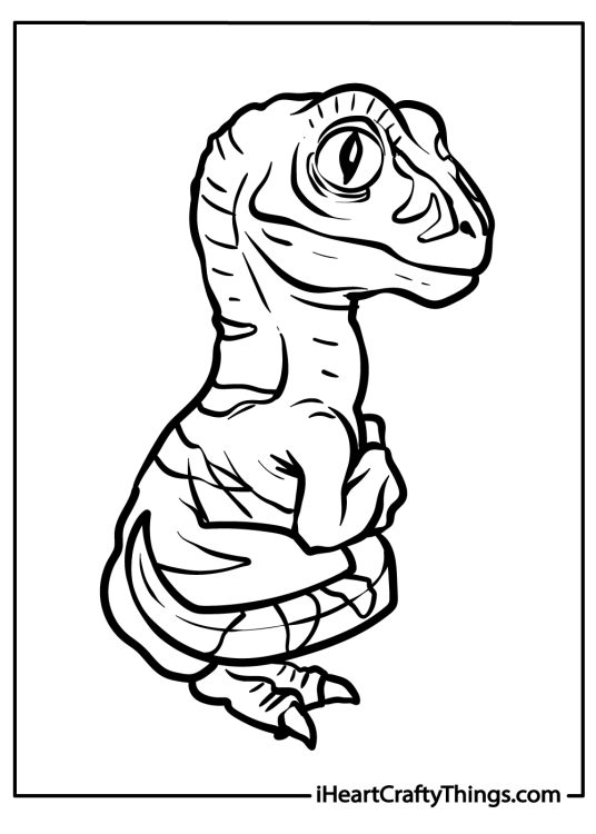 Picture featuring baby velociraptor curled up on its hind legs with tail wrapped around the body