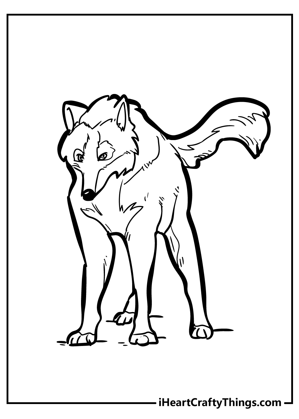 Printable coloring drawing for kids presenting realistic wolf with menacing eyes