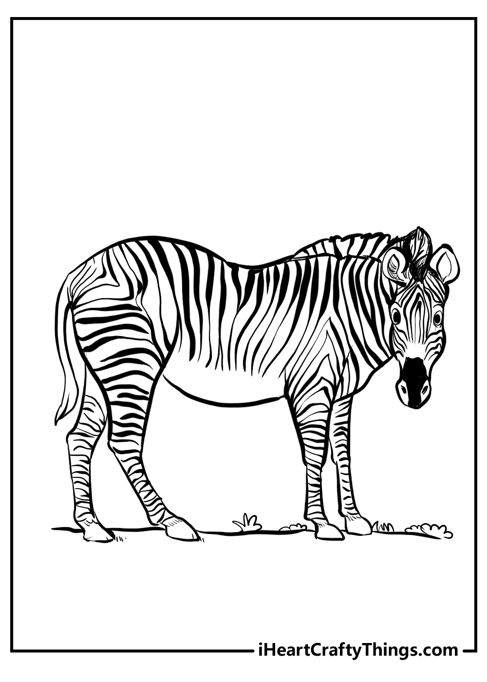zebra coloring pages free download