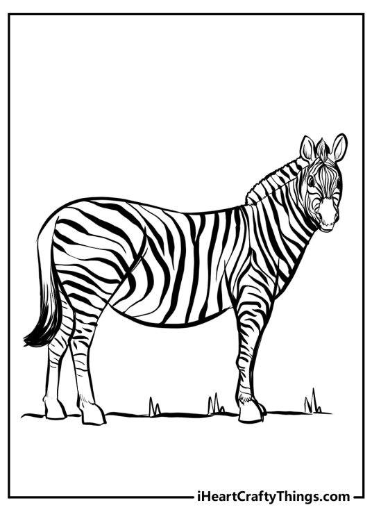 Printable coloring pdf for kids of an adult zebra featured standing calmly on a wide open field