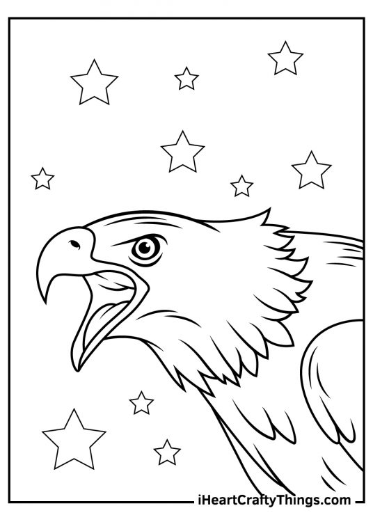 Detailed image of a furious-looking bald eagle with deep-set eyes and wide open beak surrounded by stars all around