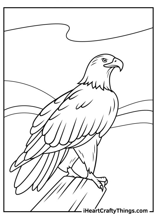 Printable coloring poster for kids presenting bald eagle sanding on top of a wood chunk