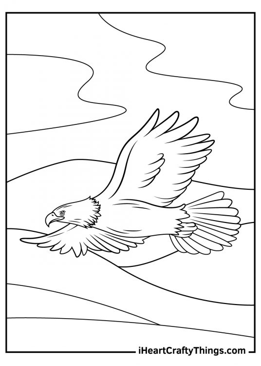 Coloring image of a bald eagle flying up high in the clouds with its mighty wings spread apart