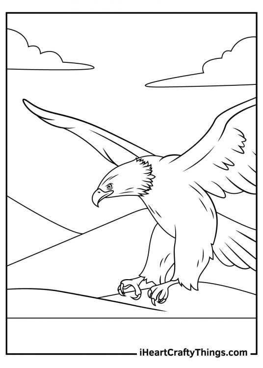Printable pdf depicting bald eagle swooping down looking determined and focused