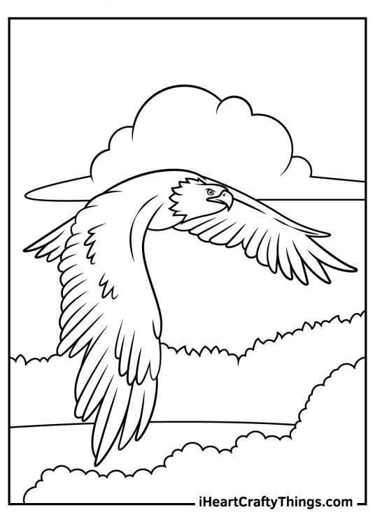 Black-and-white picture for children featuring bald eagle flying above thick tall trees