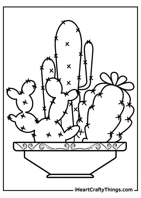 Cactus coloring printable showing three different types of cactus planted in a single pot