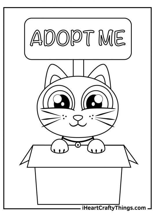Coloring image featuring an adorable kitten peeking above the box and a banner with the phrase Adopt me