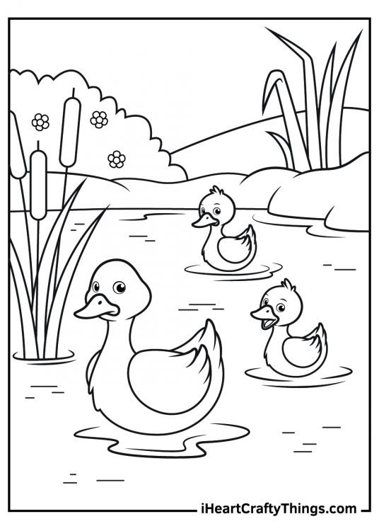 Duck Coloring Pages