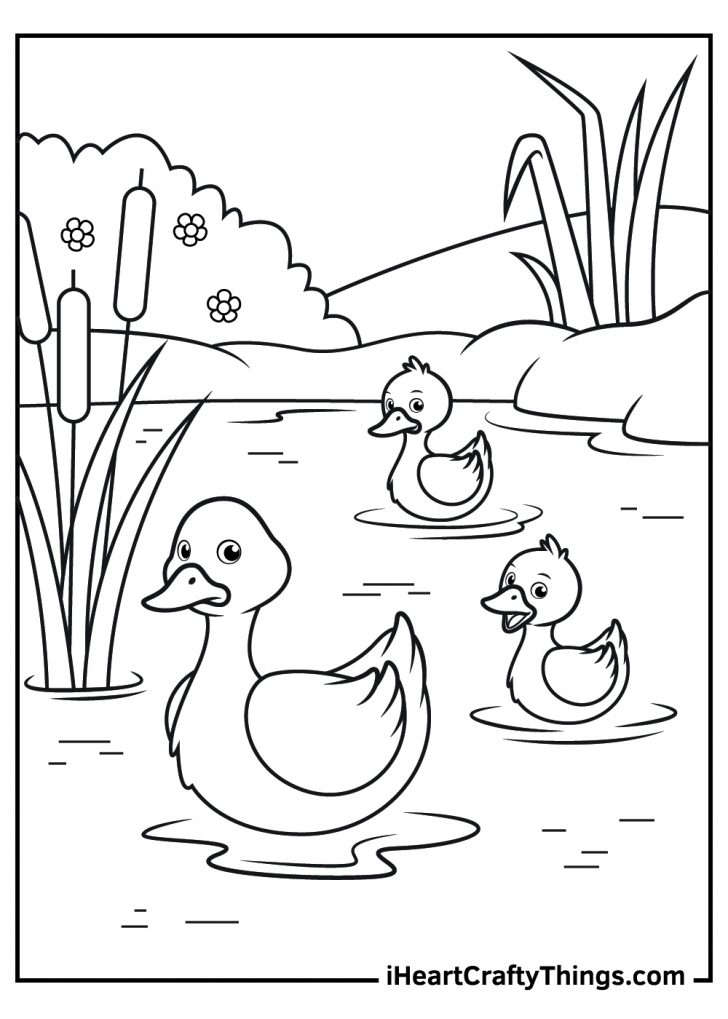 Duck Coloring Pages (100% Free Printables)