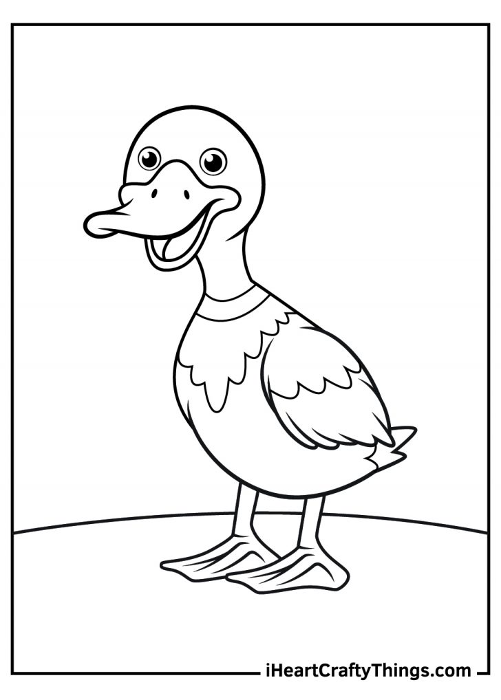 Duck Coloring Pages (Updated 2021)