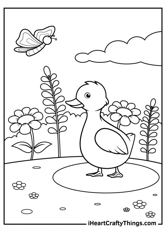 Duck Coloring Pages (100% Free Printables)