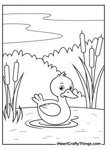 15 Duck Coloring Pages (100% Free Printables)
