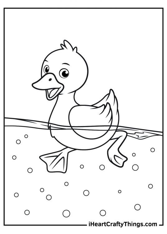 swimming baby duck coloring pages free printable