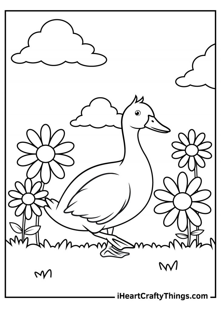 15 Duck Coloring Pages (100% Free Printables)