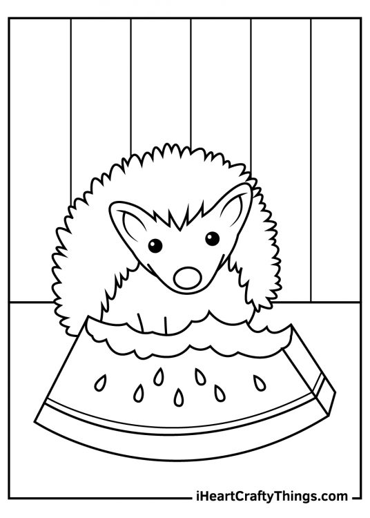Detailed coloring picture for kids featuring hedgehog munching on a delicious watermelon