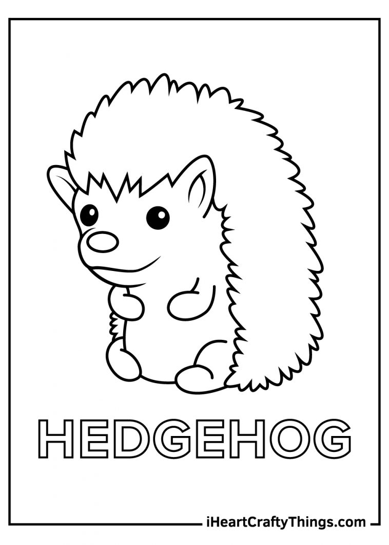 Hedgehog Coloring Pages (100% Free Printables)