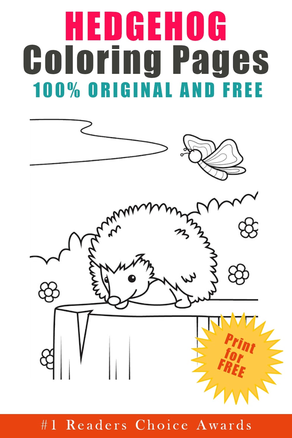 Hedgehog coloring pages book cover