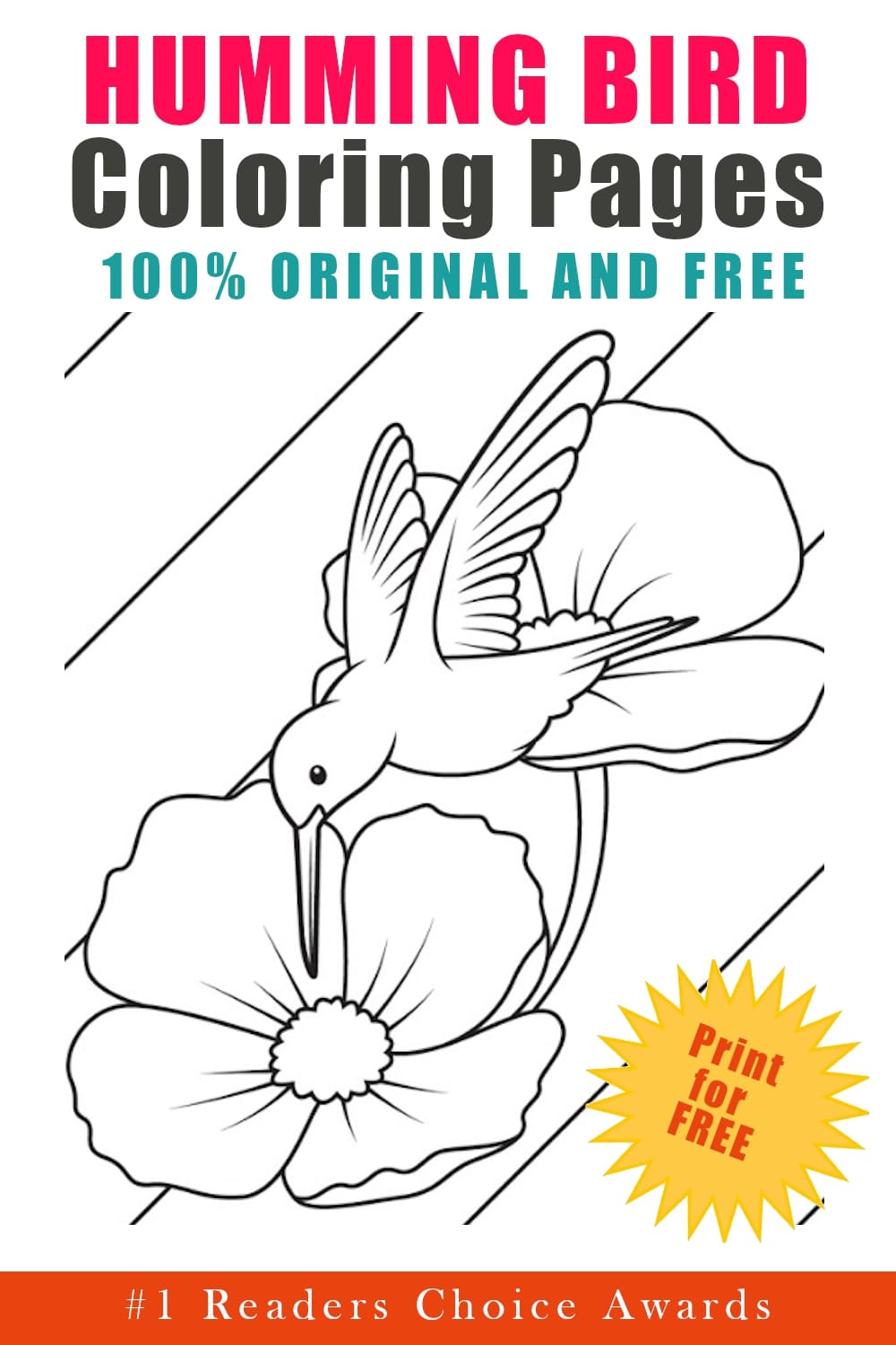 original and free hummingbird coloring pages