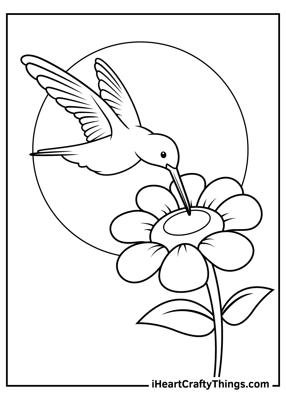 38-hummingbird-coloring-pages-for-adults-karrizvojtech