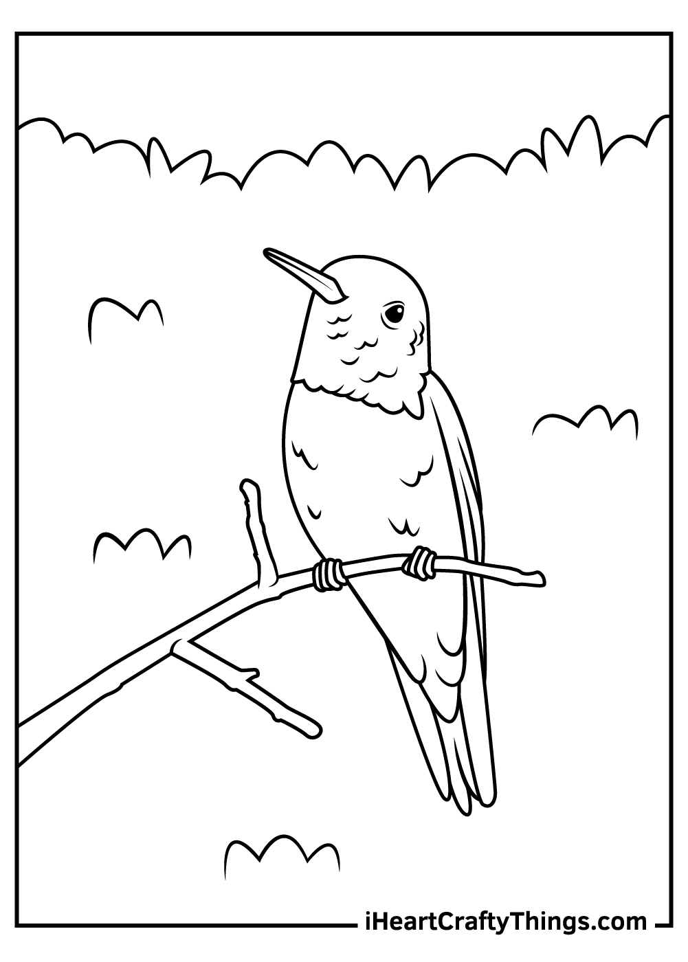 realistic hummingbird coloring pages free printable