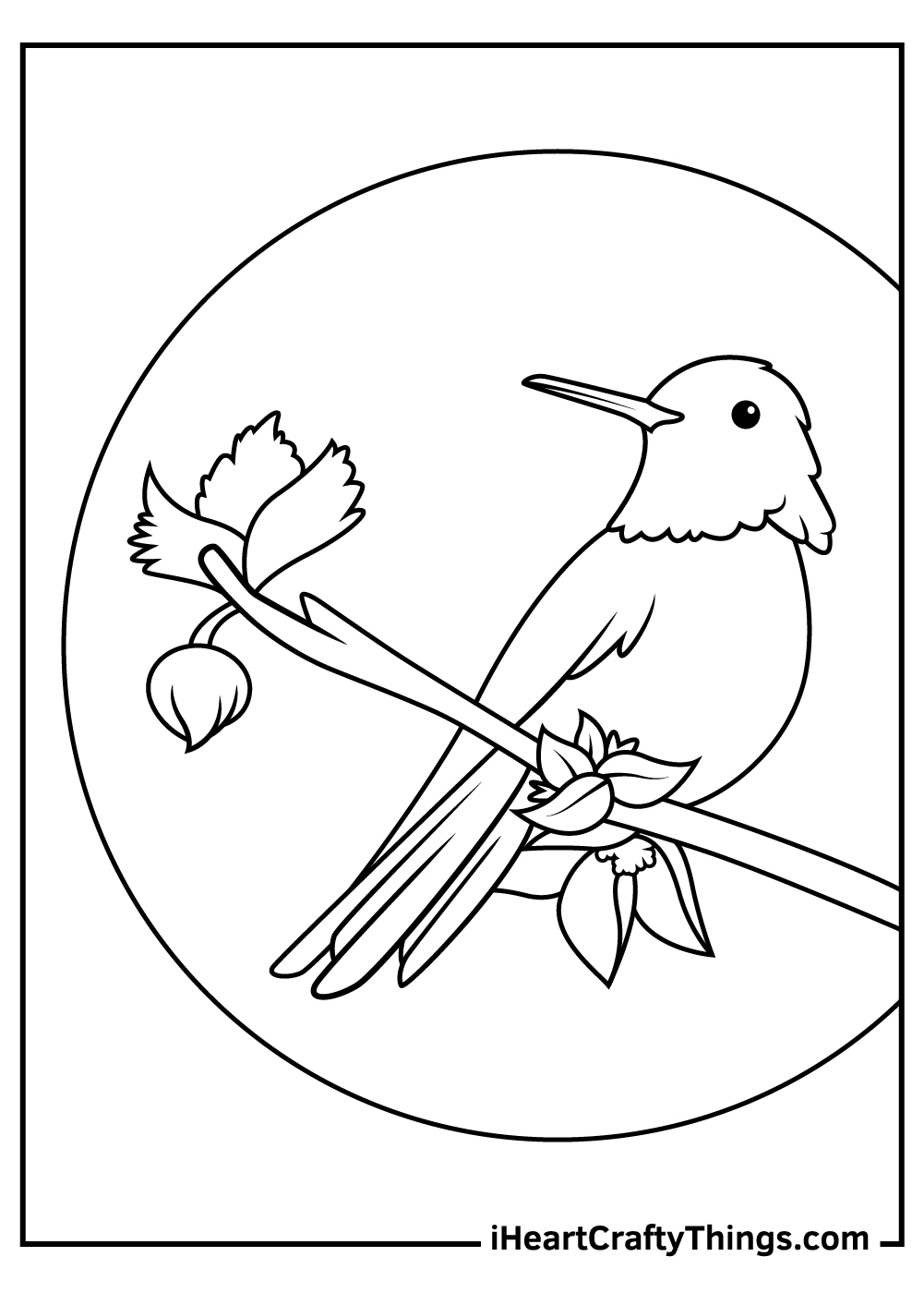 Printable Hummingbird Coloring Page Instant Download Hand Drawn Coloring Pages Black and White Hummingbird Coloring Art for Kids Adults
