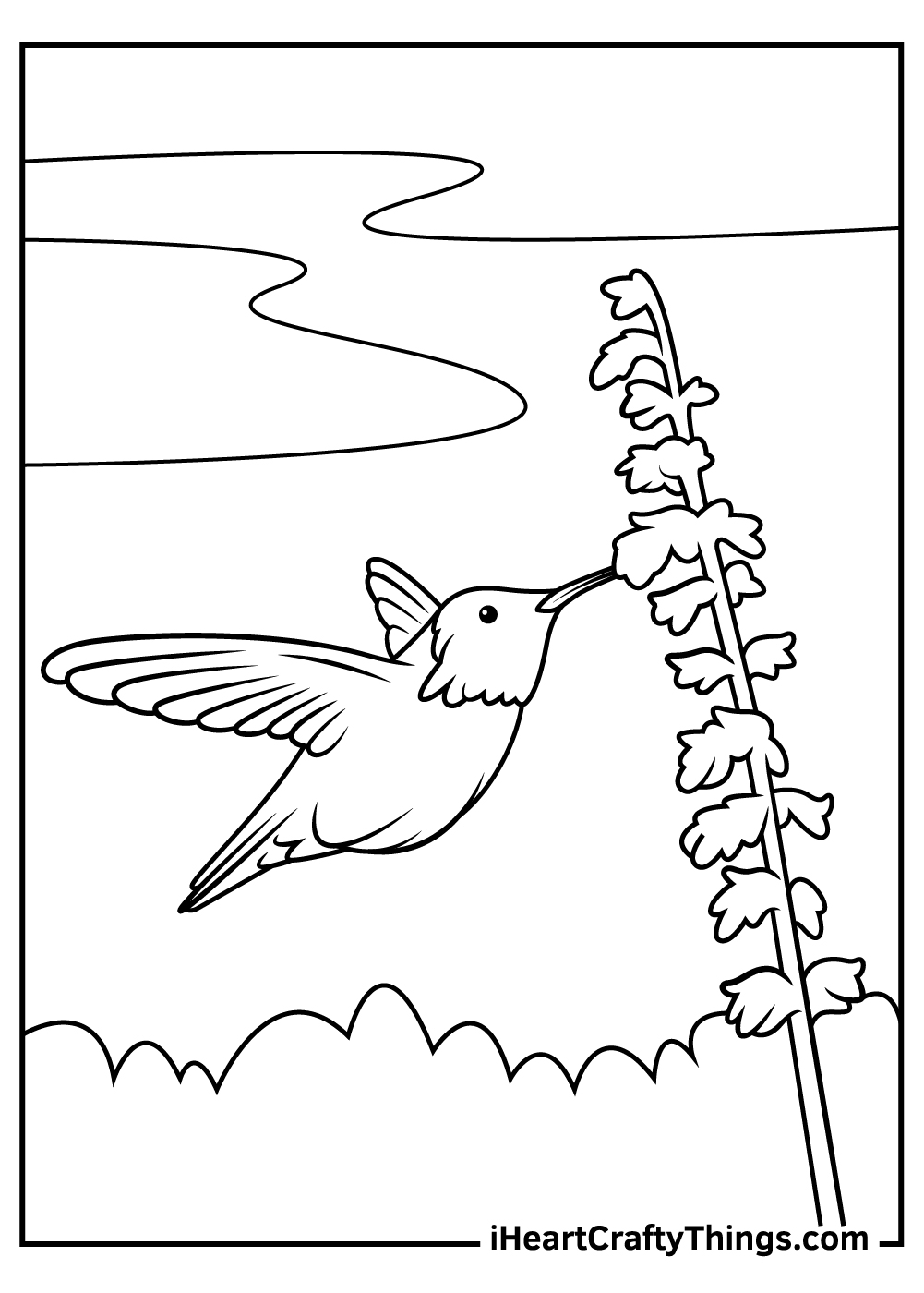 hummingbird coloring pages to print