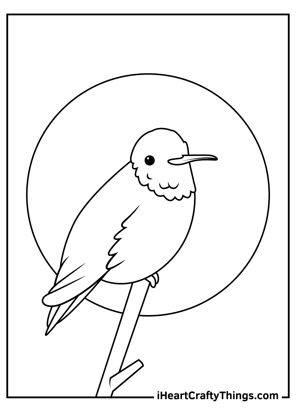 black and white hummingbird coloring pages