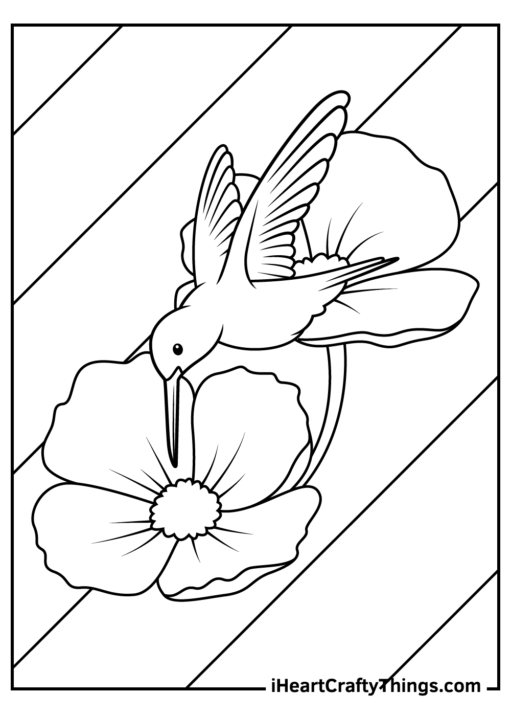 easy hummingbird coloring pages for kids