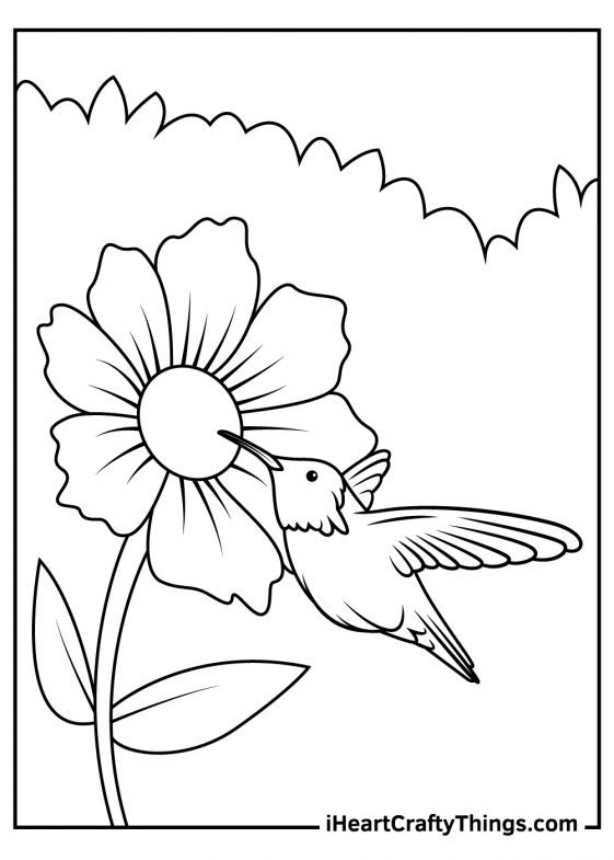 15 Hummingbird Coloring Pages (100% Free Printables)