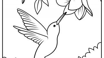 Hummingbird coloring pages