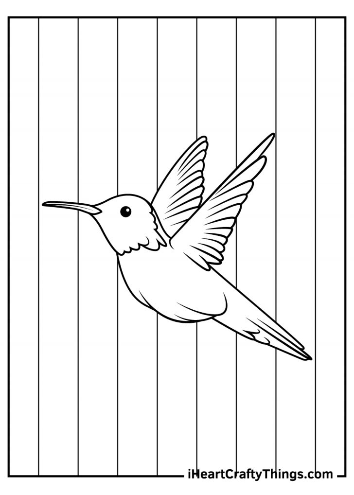 15 Hummingbird Coloring Pages (100% Free Printables)