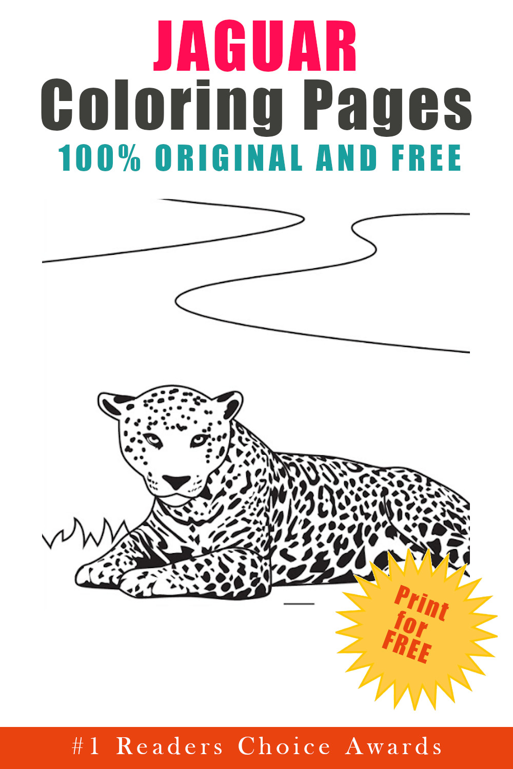 Jaguar coloring pages book cover