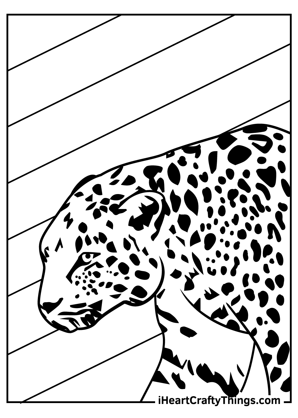 Coloring page presenting a close up of concentrated jaguar with the background separated into segments