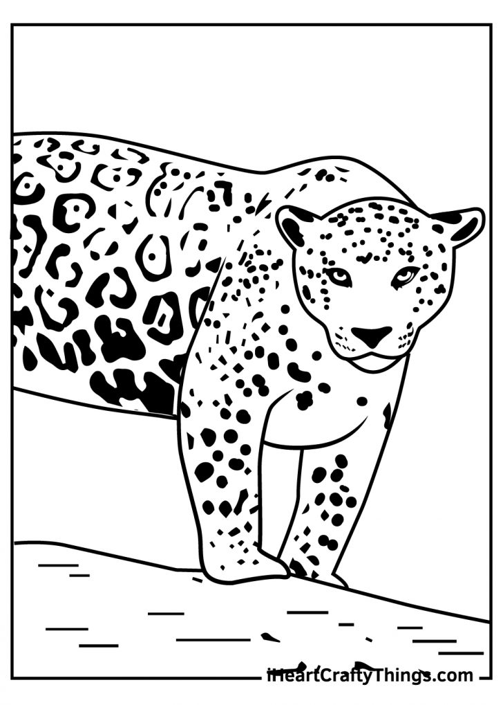 Jaguar Coloring Pages (100% Free Printables)