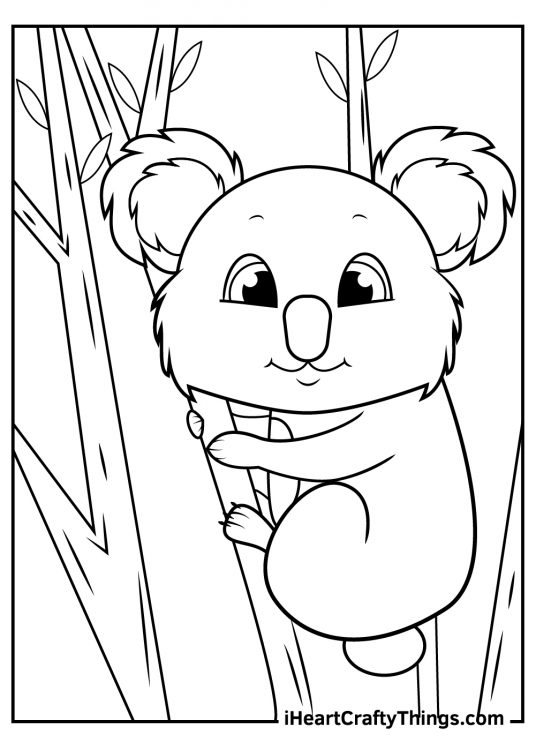 Koalas-themed coloring picture for kids featuring cartoony koala relaxing on a branch
