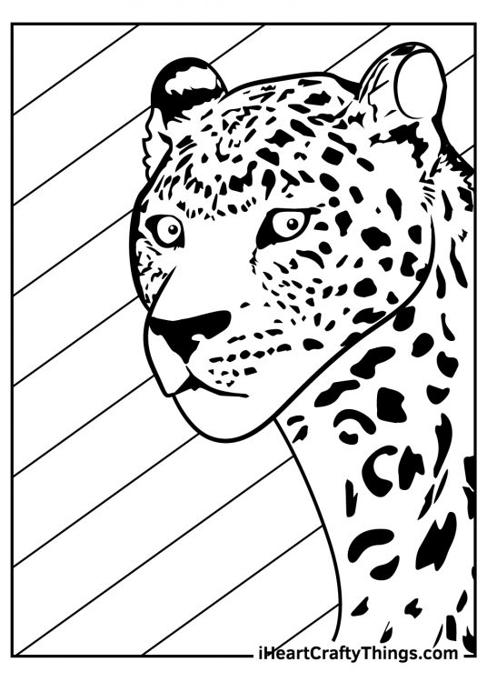 Coloring page featuring detailed close up portrayal of a realistic leopard with diagonal lines in the background