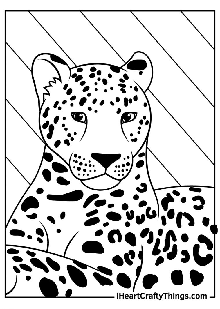 Leopards Coloring Pages (Updated 2021)