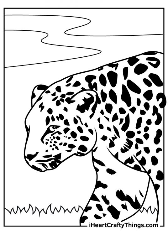 Leopards Coloring Pages (100% Free Printables)