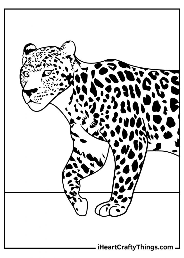 Leopards Coloring Pages (Updated 2022)