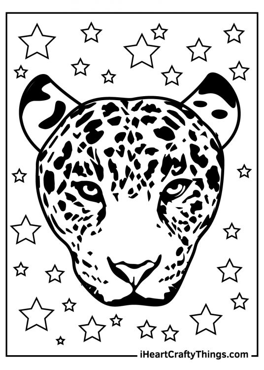 Leopards-themed coloring page capturing the face of a leopard surrounded with glimmering stars