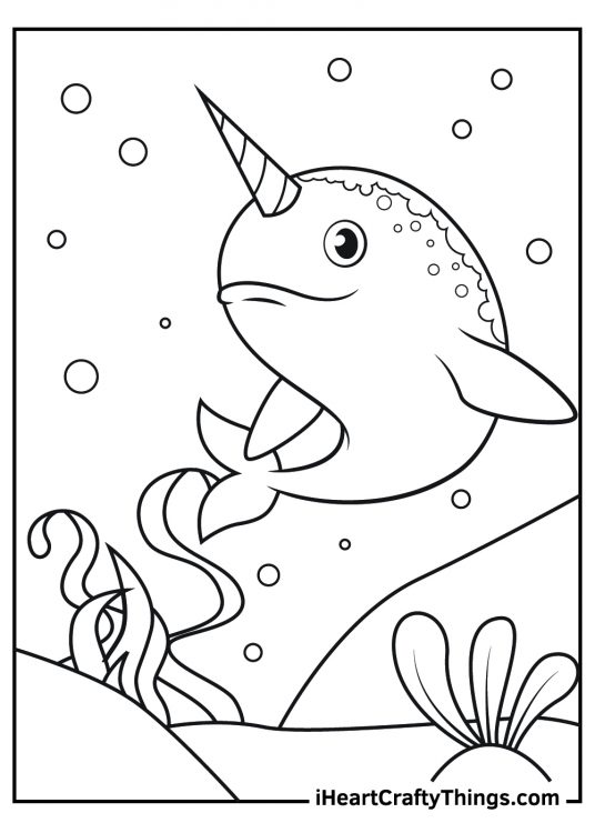 Picture for kids featuring happy-looking narwhal surrounded by seaweed rocks and bubbles