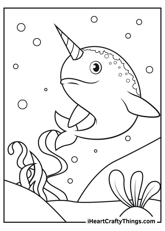 narwhal-coloring-pages-updated-2023