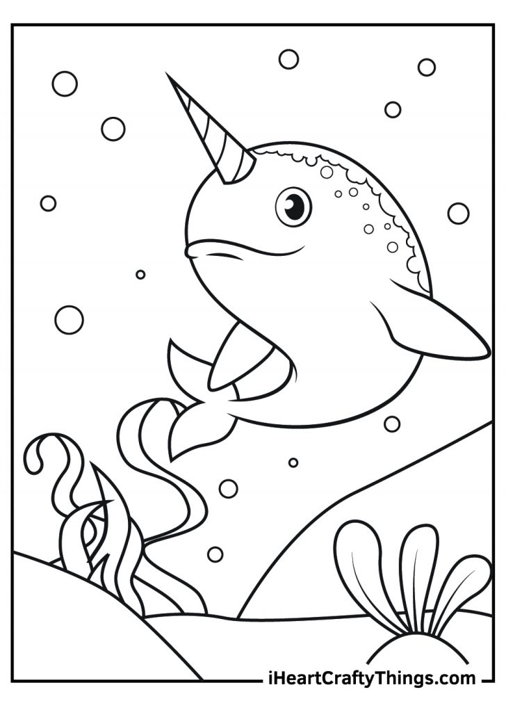 15 Narwhal Coloring Pages (100% Free Printables)