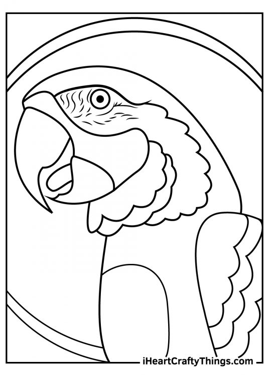 Parrots-themed coloring picture featuring a close-up on a very happy looking macaw